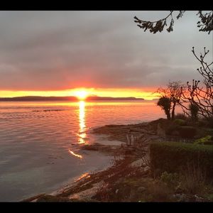 Meet your Posher, Gold dust lady